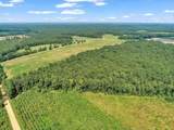 356 Massey-Doss Road - Photo 9