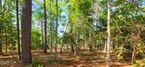 L-1 S-N Palmer Drive - Photo 11
