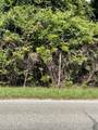 1/2lot #5 Near 1326 Chadbourn Highway - Photo 3