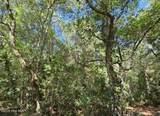 17 Col William Rhett Trail - Photo 2