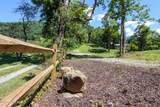 Lot 8 East Buffalo Circle - Photo 17