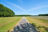 632 Poplar Neck Road - Photo 8