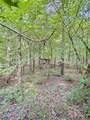 157 Promised Land Road - Photo 18