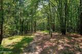 157 Promised Land Road - Photo 19