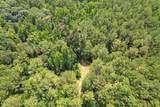157 Promised Land Road - Photo 21