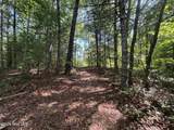 4 Majestic Mountain Trail - Photo 11