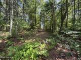 4 Majestic Mountain Trail - Photo 9