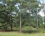 739 Loblolly Drive - Photo 3