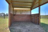 5195 Tumbleweed Drive - Photo 43
