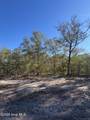 Lot 205 Coral Gull Street - Photo 1