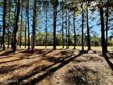11 Croatan Road - Photo 4