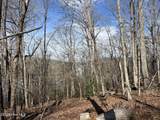 Tbd Haltiwanger Retreat Road - Photo 15