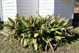 2165 Rosier Road - Photo 41