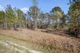 128 Shell Castle Lane - Photo 4