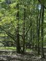 Lot 11 South Pointe Drive - Photo 6