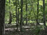 Lot 11 South Pointe Drive - Photo 9