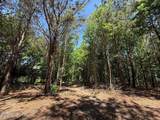 Lots 6 & 7 Fox Run Drive - Photo 27