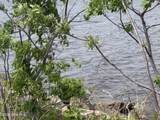 102 Haley Point - Photo 12