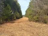 10 Acres Scott Road - Photo 10