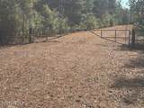 10 Acres Scott Road - Photo 11