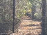 10 Acres Scott Road - Photo 16