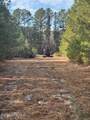 10 Acres Scott Road - Photo 20