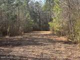 10 Acres Scott Road - Photo 22