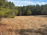 10 Acres Scott Road - Photo 6