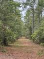 0 Nc Highway 210 Road - Photo 3