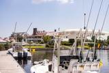 469 Ballast Point - Photo 70