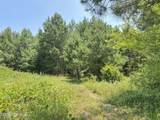 Lot 24 Buckhorn Church Road - Photo 10