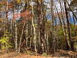 39A Hedden Stiles - Photo 11