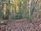 39A Hedden Stiles - Photo 19