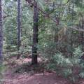 109 Haddington Drive - Photo 10