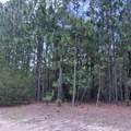 109 Haddington Drive - Photo 8