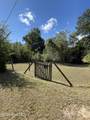 8 Scotts Hill Loop Road - Photo 38