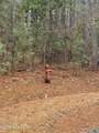 180 Tall Pines Drive - Photo 9