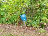 Lot 5 Skyview Drive - Photo 1