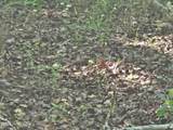234 Circle Drive - Photo 5