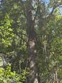 20 West High Bluff Drive - Photo 14