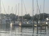 516 Water Street - Photo 14