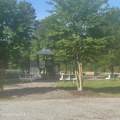 704 Batts Island Road - Photo 3