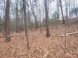 Lot 21 Broadleaf Lane - Photo 10