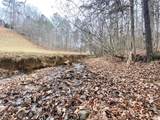 Lot 21 Broadleaf Lane - Photo 11