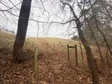 Lot 21 Broadleaf Lane - Photo 12