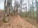 Lot 21 Broadleaf Lane - Photo 13