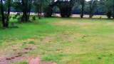5641 Nc 43 - Photo 2