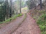 TR 47 Majestic Mountain Trail - Photo 3