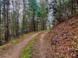 TR 47 Majestic Mountain Trail - Photo 4