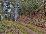TR 47 Majestic Mountain Trail - Photo 5